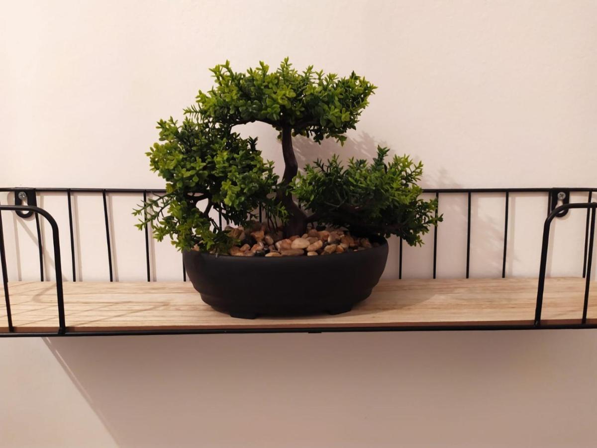 Cozy Apartments Danica Novalja - Ground Floor מראה חיצוני תמונה