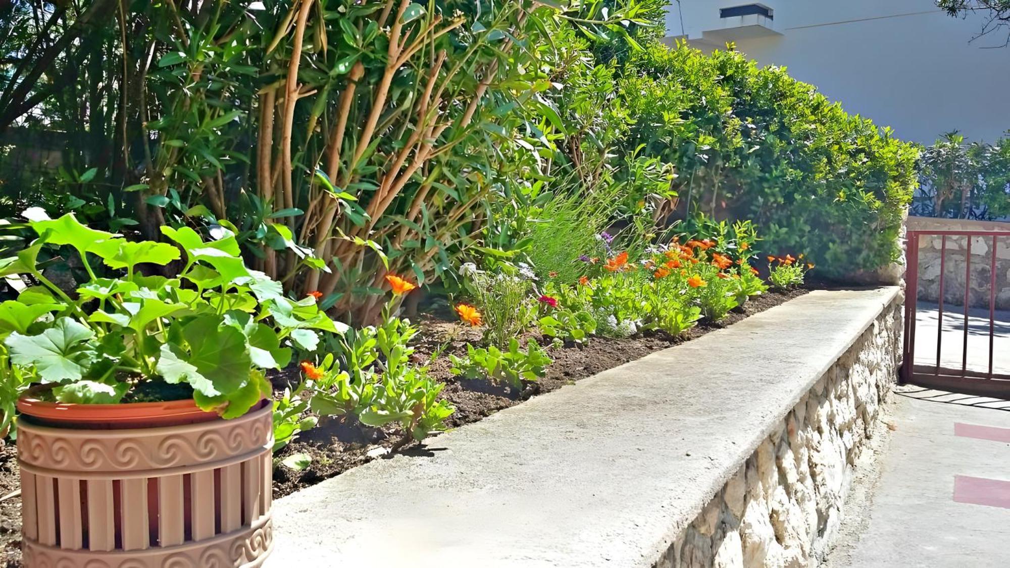 Cozy Apartments Danica Novalja - Ground Floor מראה חיצוני תמונה