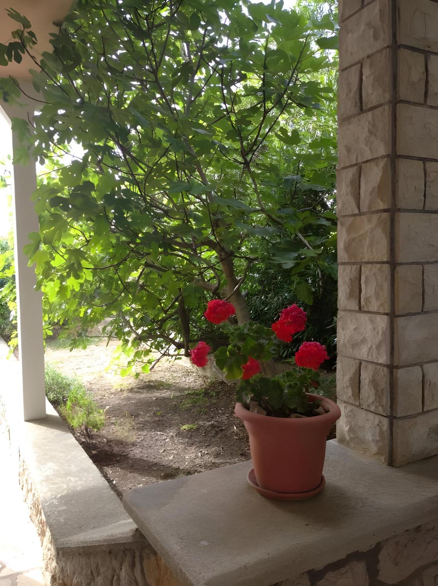 Cozy Apartments Danica Novalja - Ground Floor מראה חיצוני תמונה